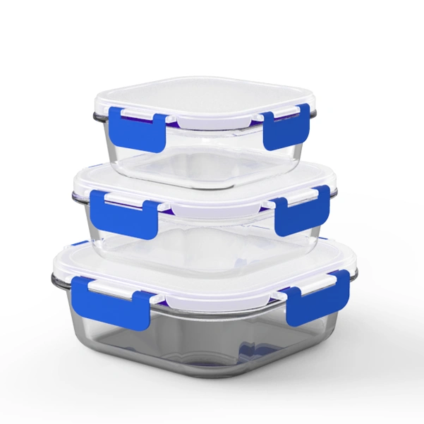 Square Borosilicate Glass Meal Prep Container